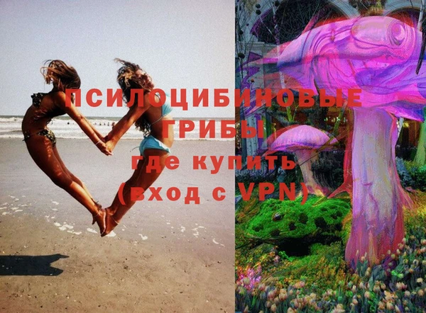 дурь Арсеньев