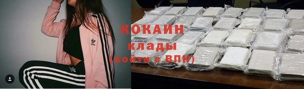 дурь Арсеньев