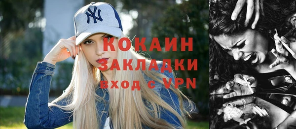 шишки Аркадак