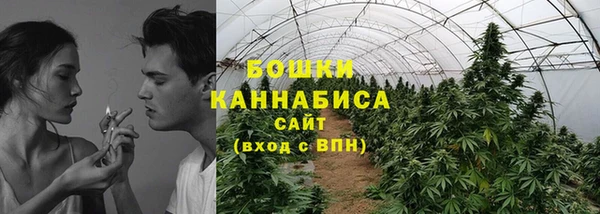 дурь Арсеньев