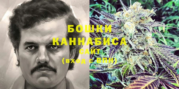 шишки Аркадак
