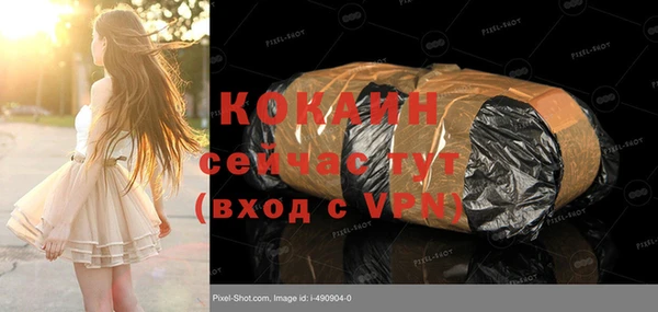 дурь Арсеньев