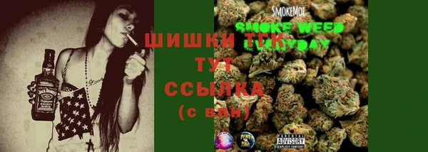 шишки Аркадак